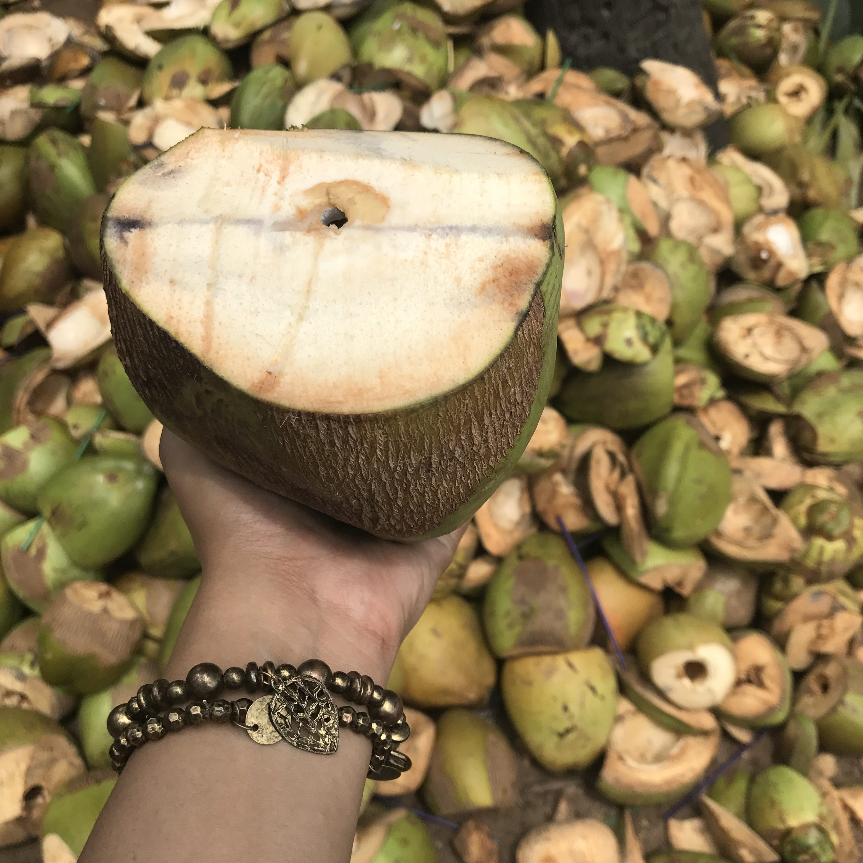 Pondicherry – C’est la vie