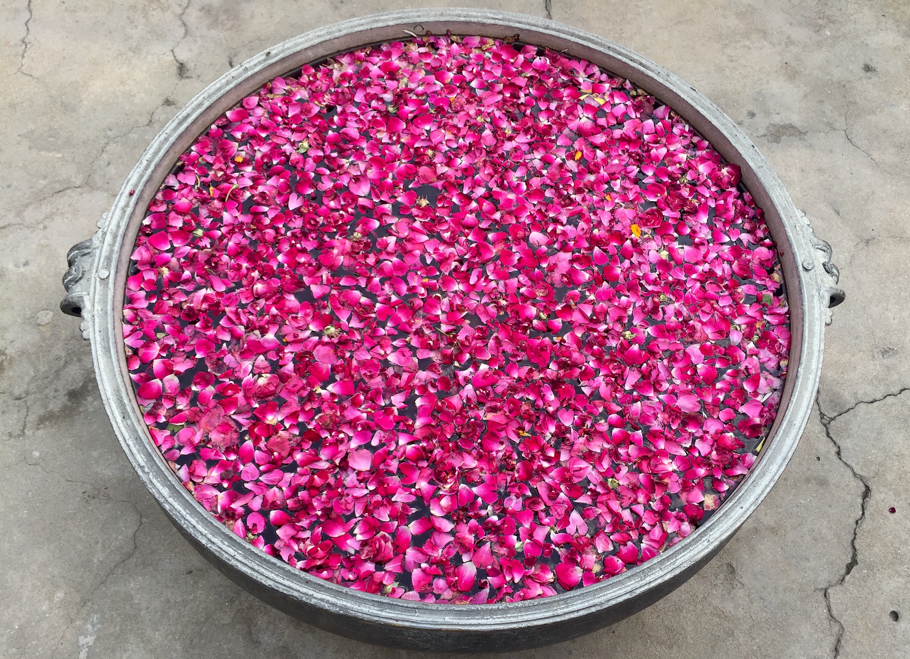 Hotels and Petals