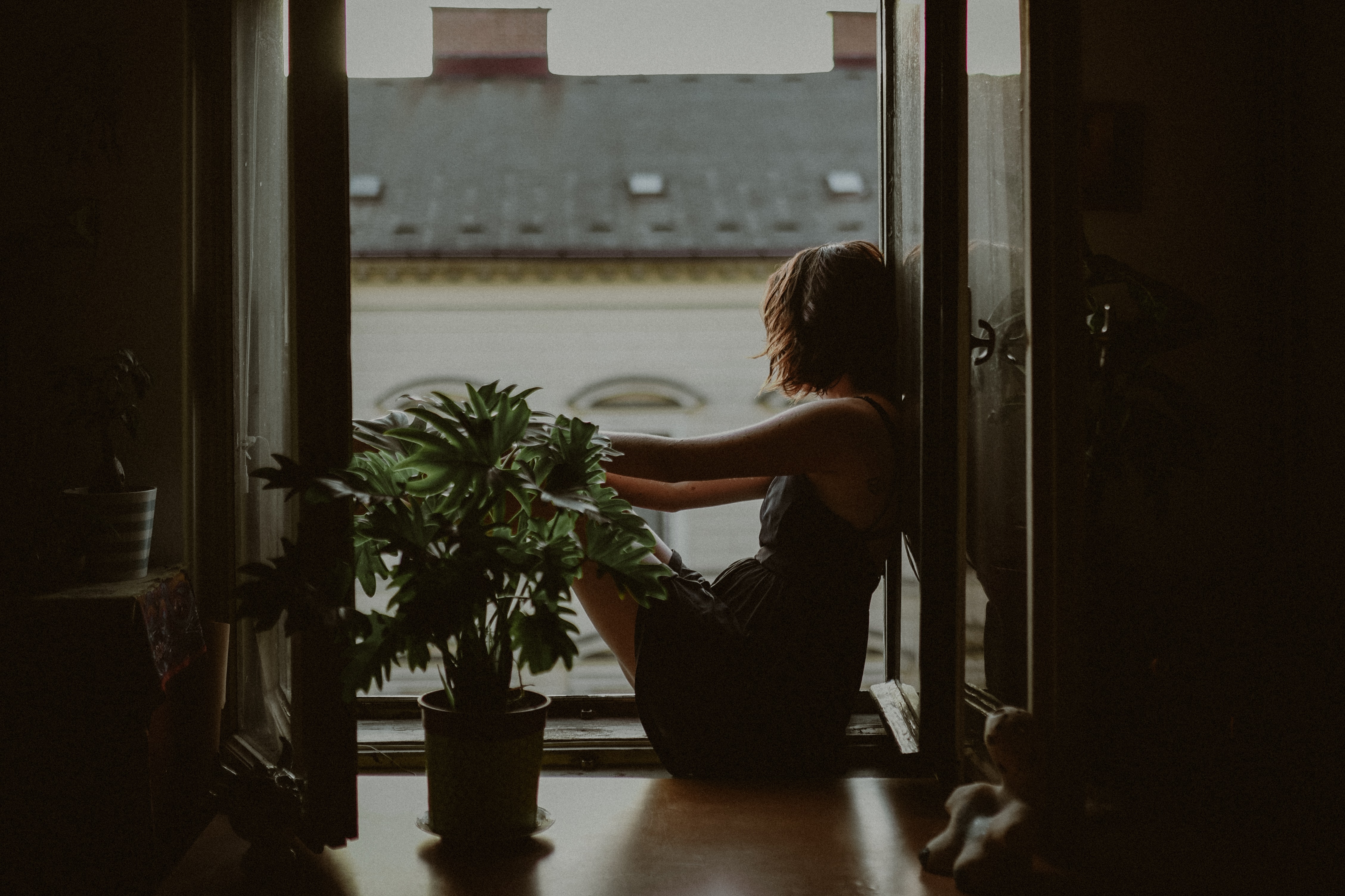 A War Between Emotion and Desire
