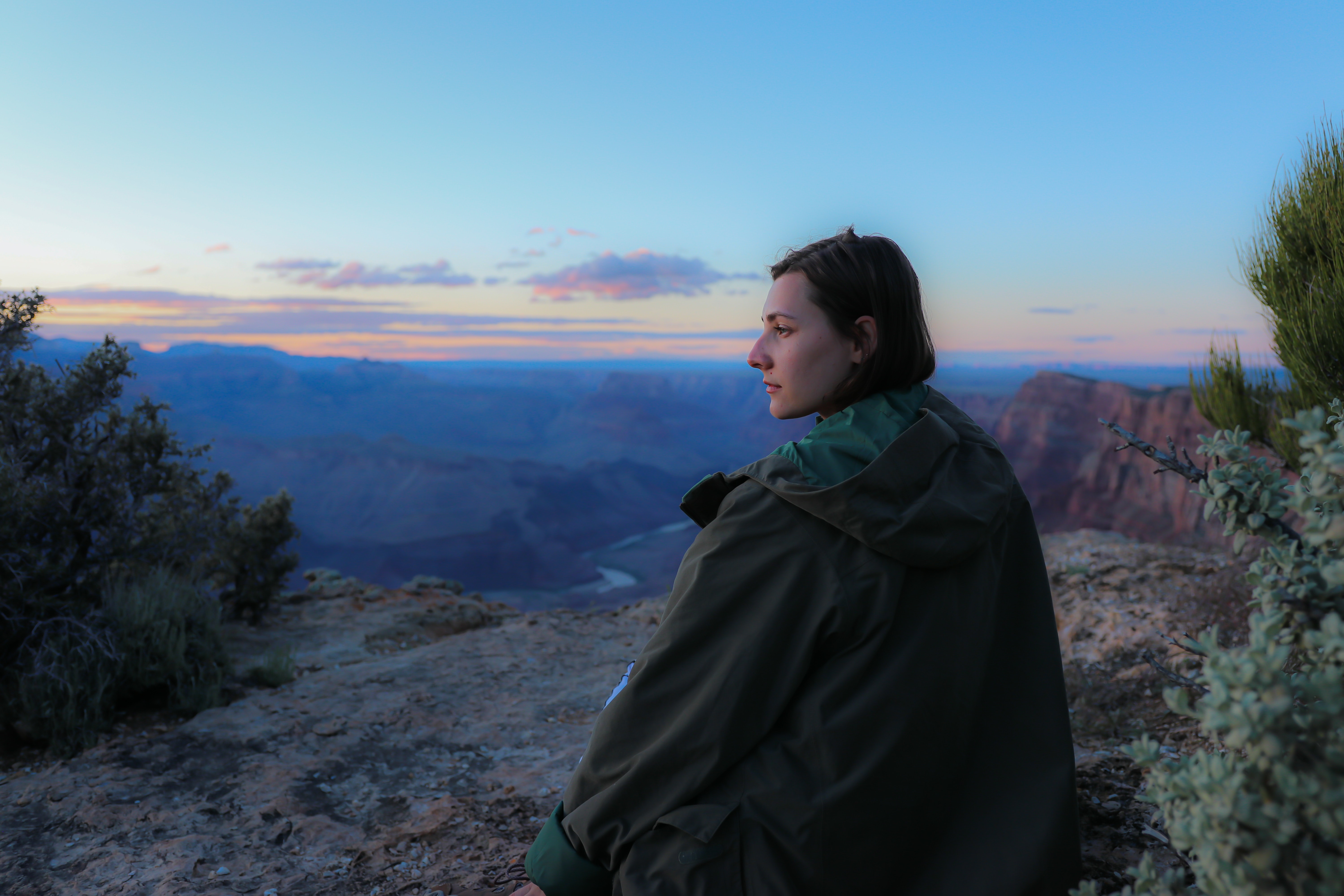 Let Emotions be Tested on the Anvil of Rationality