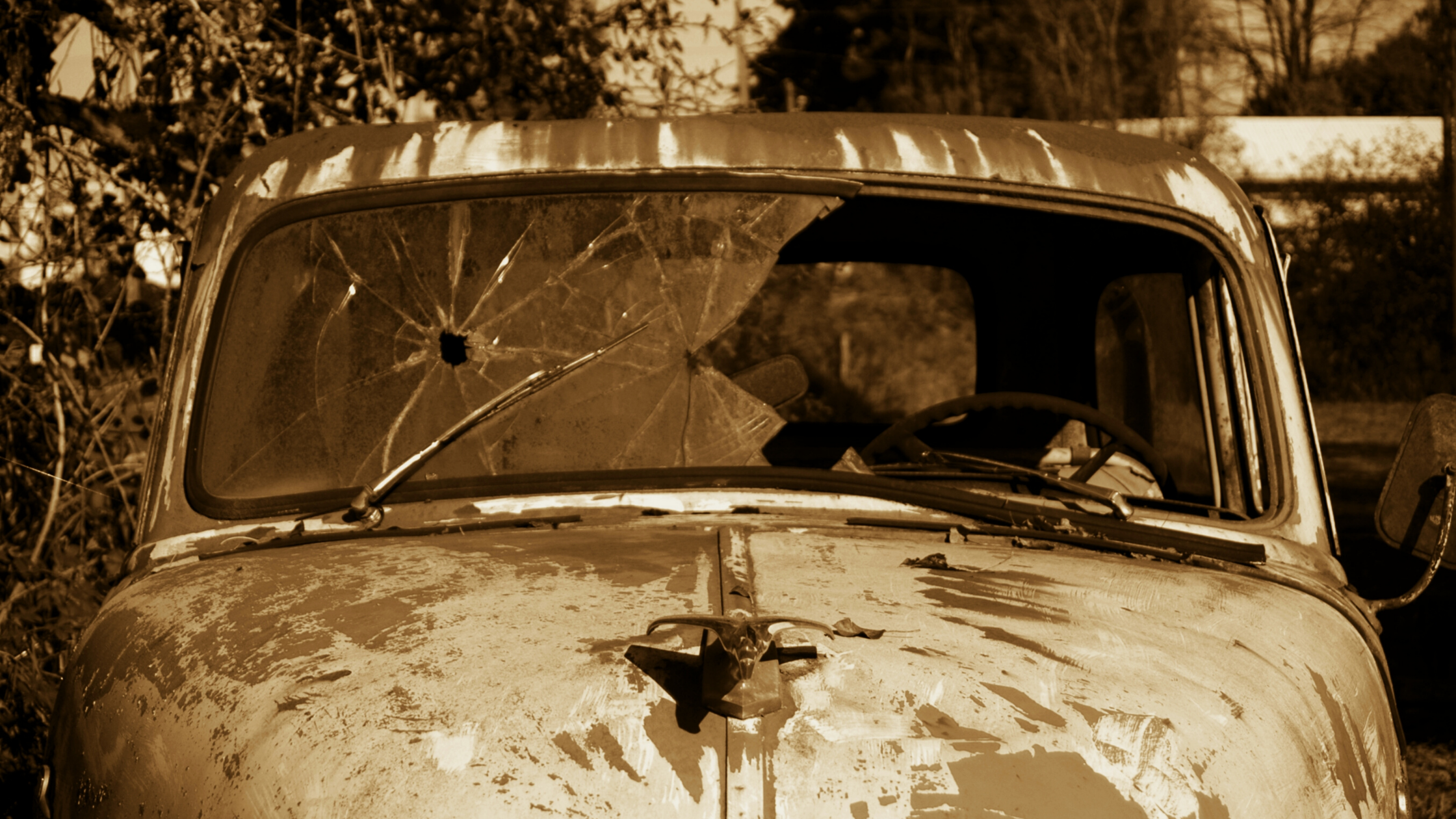 The Ambassador | Lipokmenla Ao