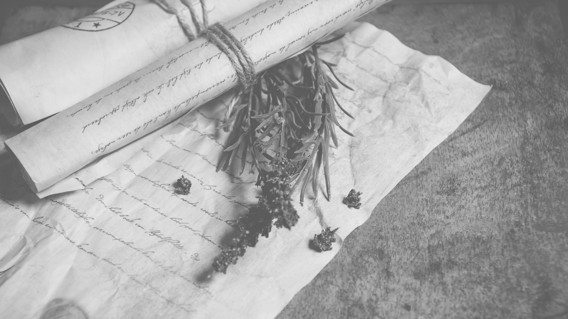 Fragrance of the Night | Adwitiya Bhattacharya