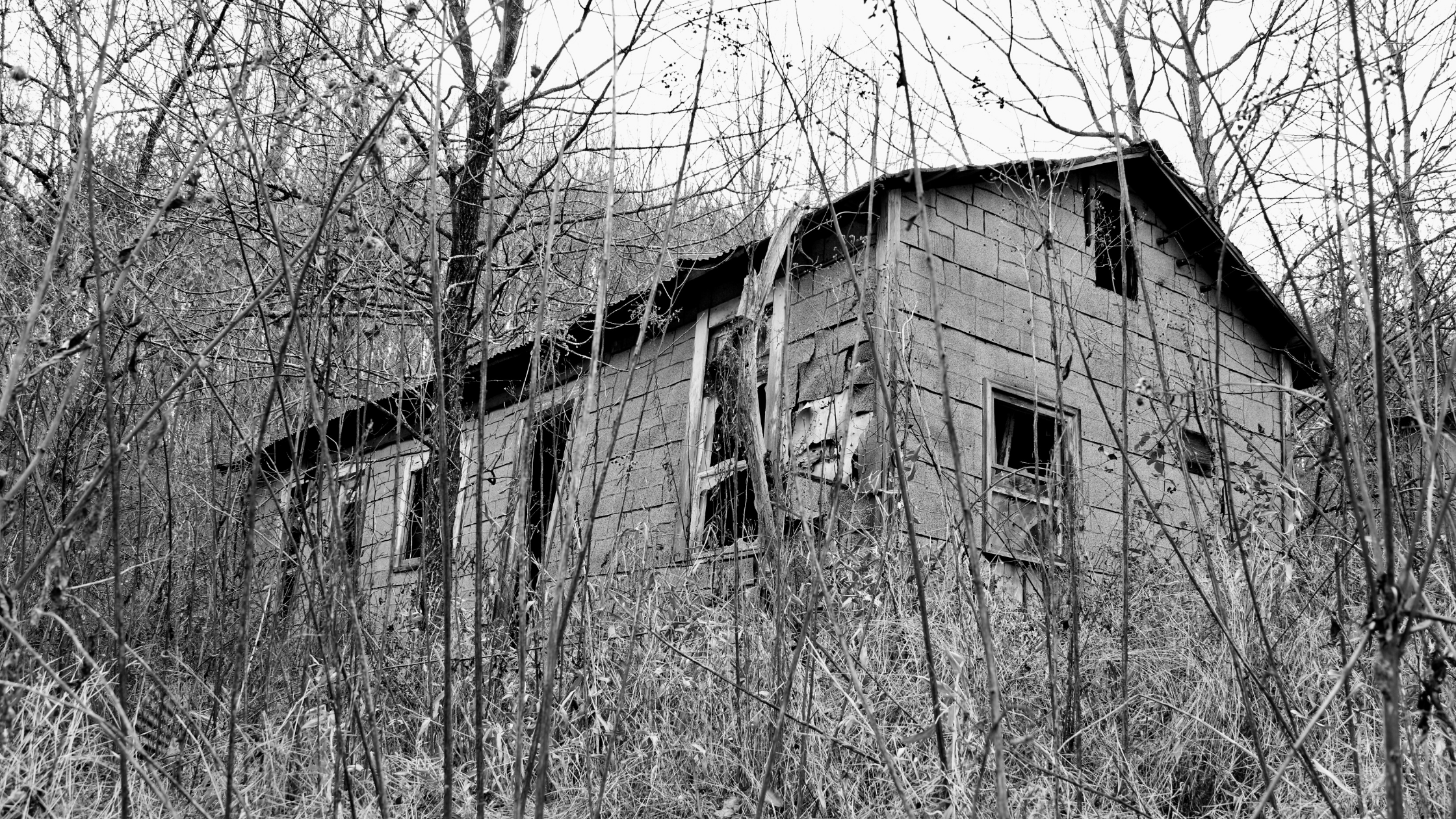 The Sylvia Book Store | Tathagata Banerjee