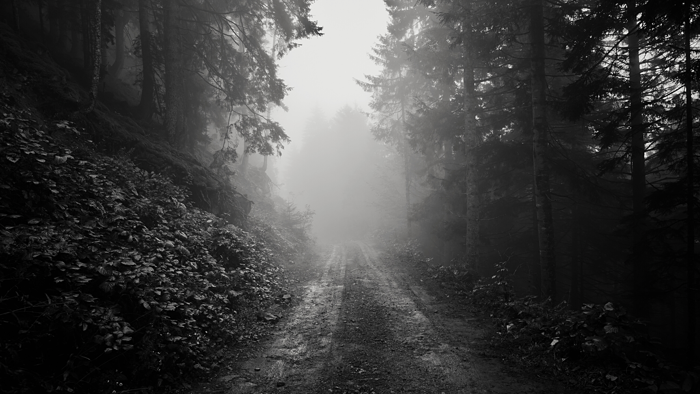 The Rumour | Sahil Bagga