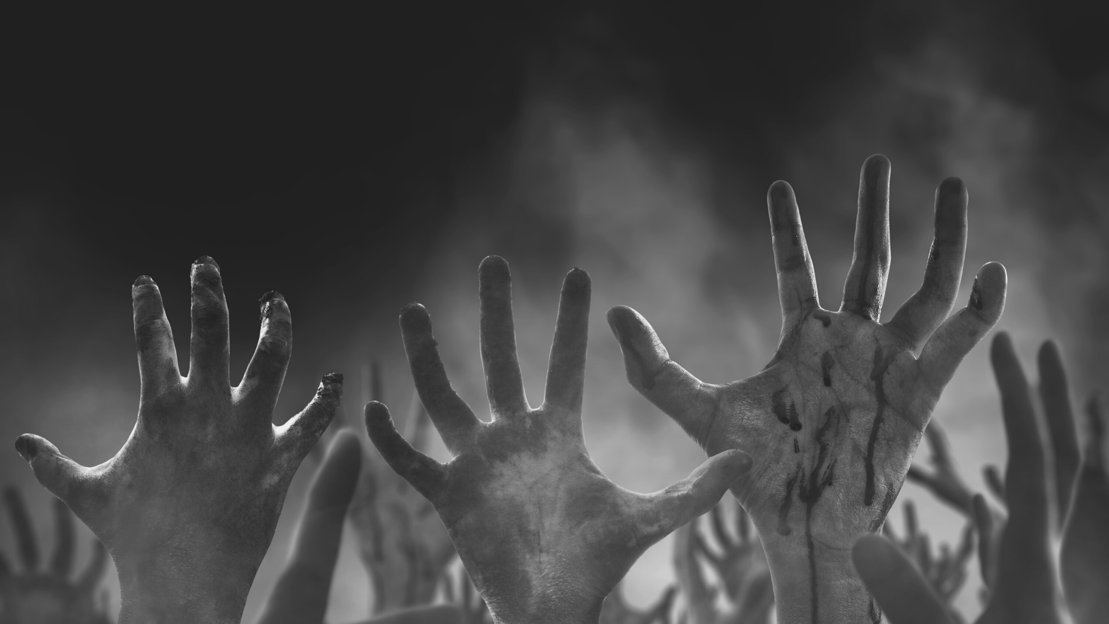 The Meat | Revati Radhakrishnan