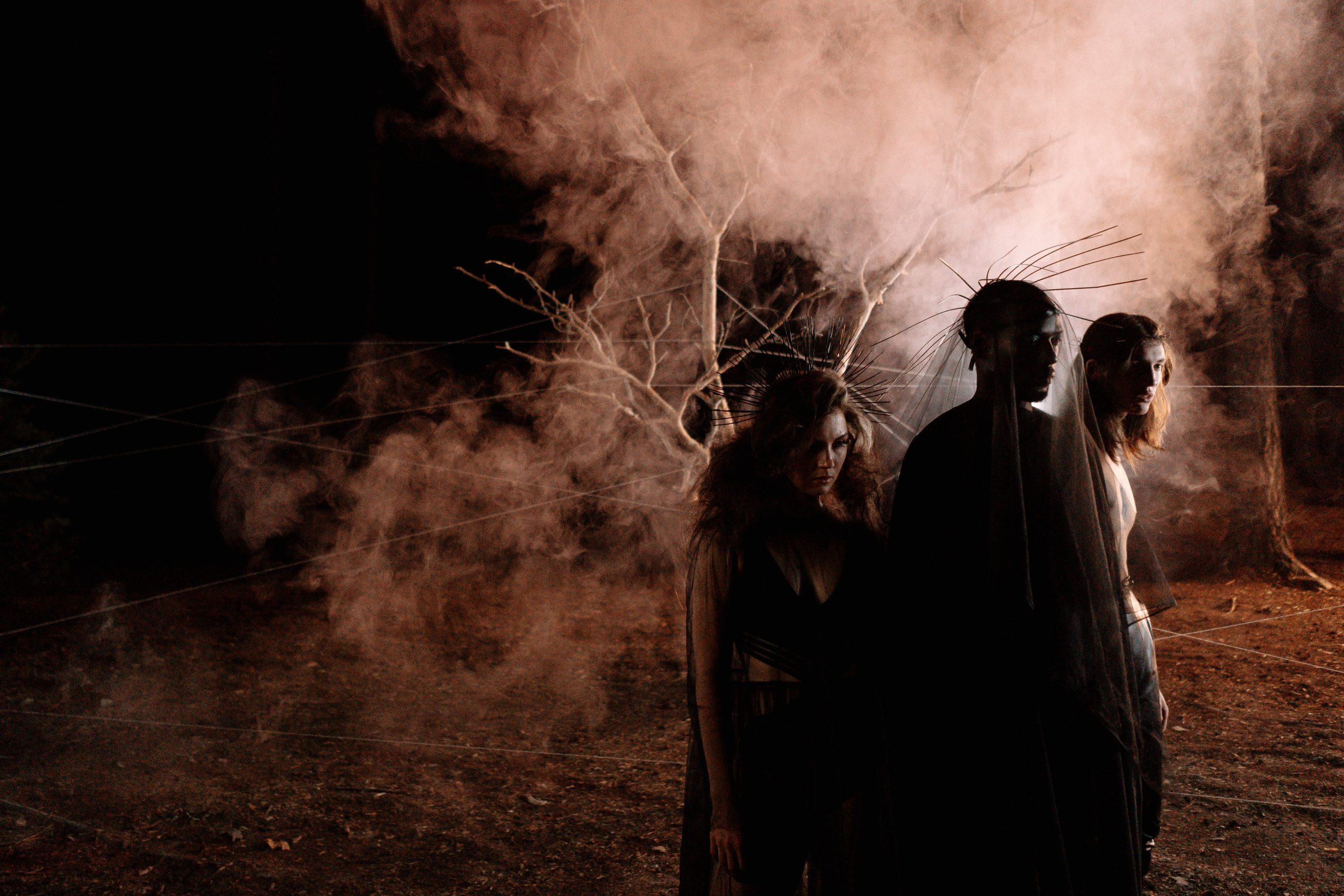 The Hunt For A Vampire